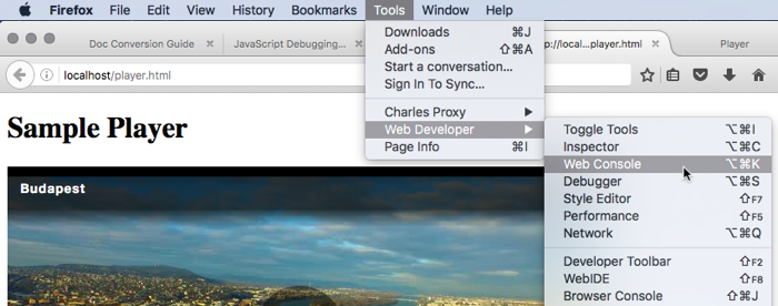 Firefox-Webkonsole