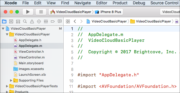 Projekt in Xcode